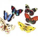 Wooden Butterfly Rings - Go..