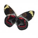 Wooden Butterfly Rings - Go..