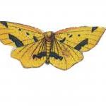 Wooden Butterfly Rings - Go..
